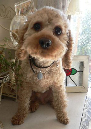 �|�[�����