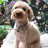 ����ŋL�O�B�e1