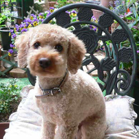 ����ŋL�O�B�e2