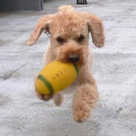 ����Ń{�[���V��2