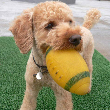 ����Ń{�[���V��3