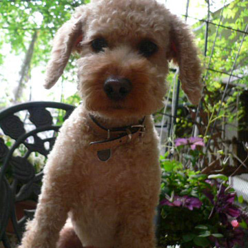 ����ŋL�O�B�e3