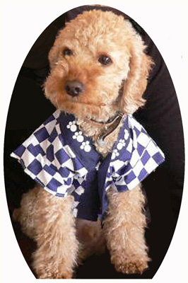 ���a���L�O�B�e