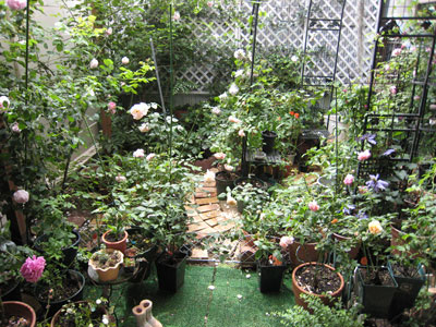 �����Ȃ���ł������ꂢ�Ȃ���ł��B�B