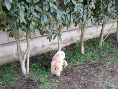 �[������