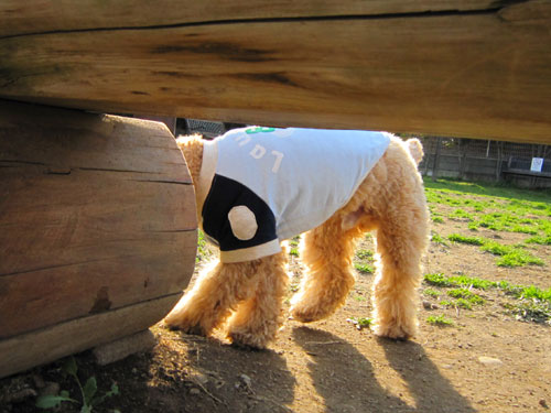 ��������