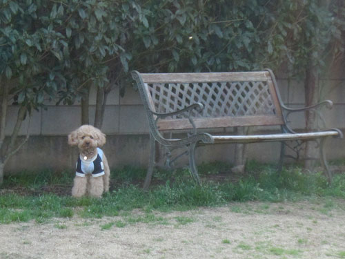 �s������