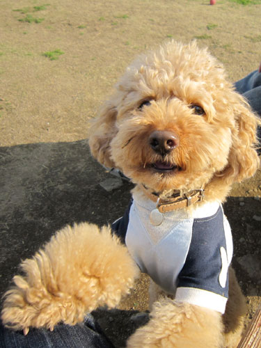 �ˁ[�ˁ[�����A�낤