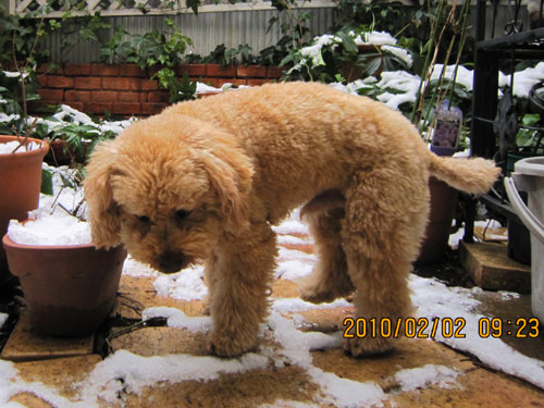 �Ⴊ�~�����񂾂ȁ`