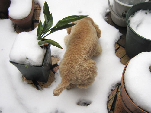 �܂��A�Ⴊ�~������