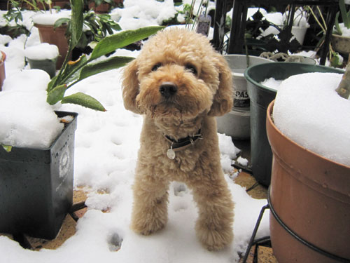 �����₽����`