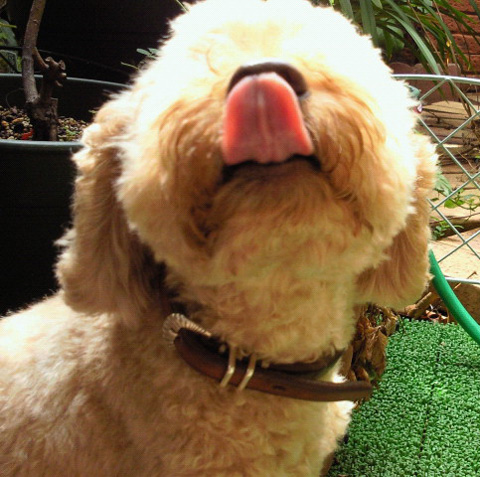 ��ւ��肪�ƁI