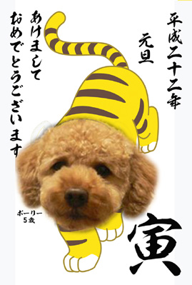 �V�N�̂����A